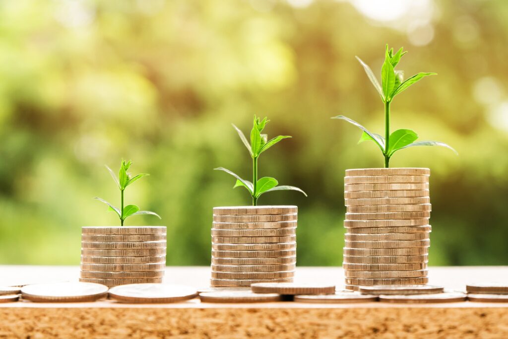 Tipos de Investimentos - Image by Nattanan Kanchanaprat from Pixabay